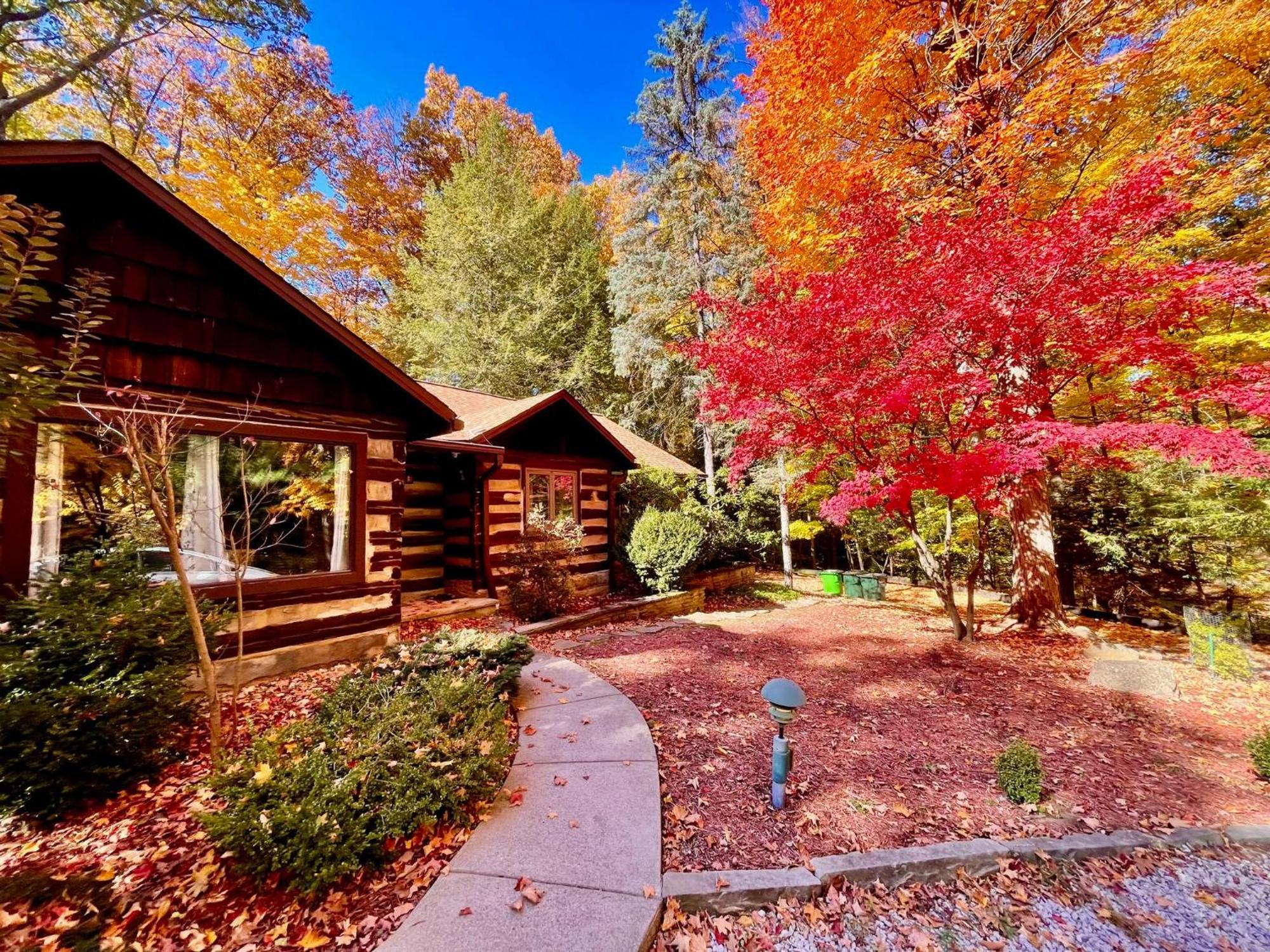 Log Cabin - Natures Oasis - Fire Pit & Gazebo Cleveland Buitenkant foto