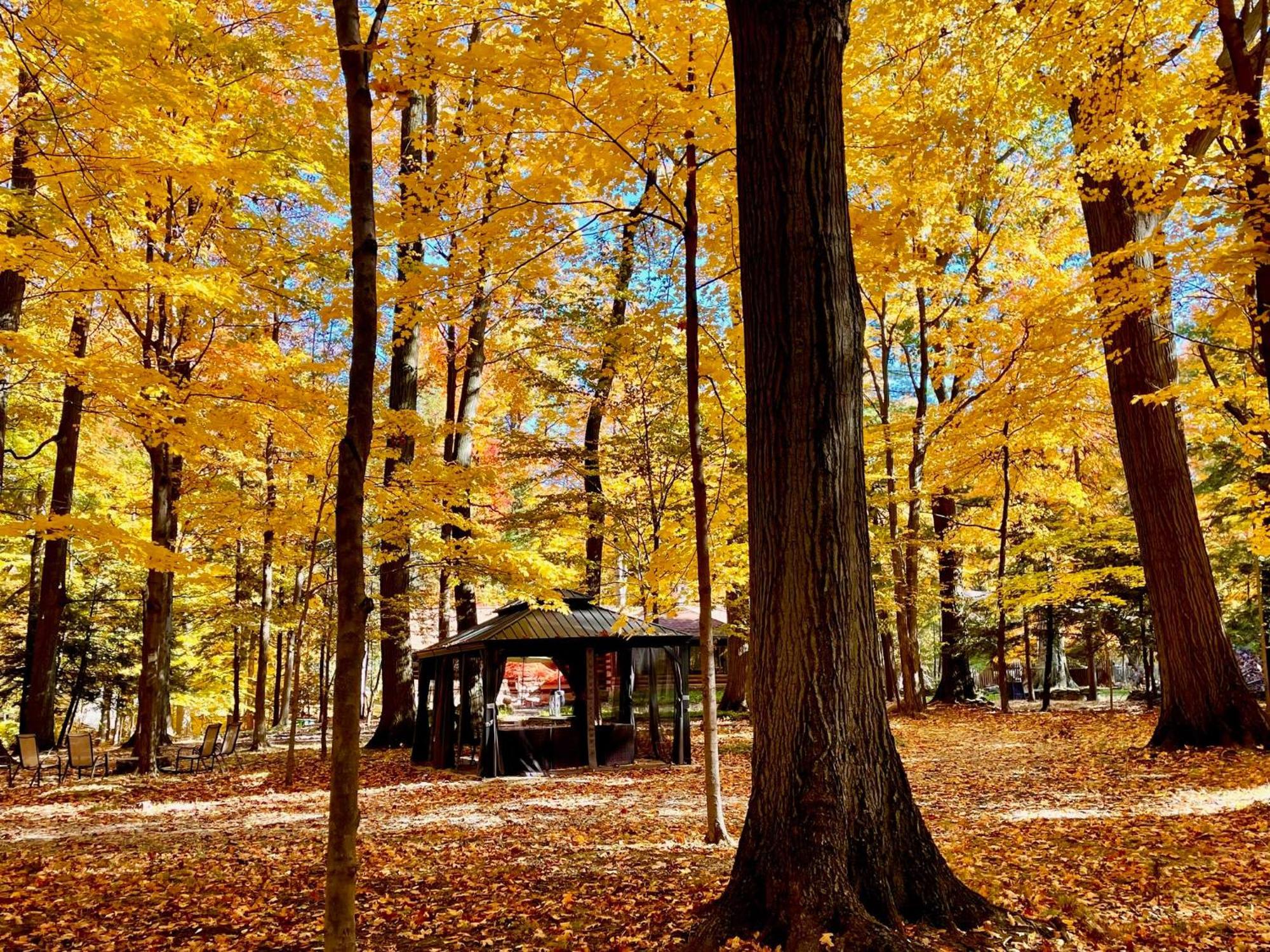 Log Cabin - Natures Oasis - Fire Pit & Gazebo Cleveland Buitenkant foto